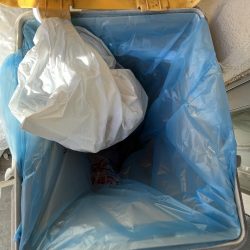 清掃活動：おせんの季節