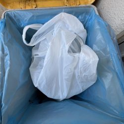 清掃活動：イワシ　ゴミ多め