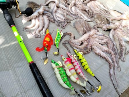 伊勢湾沖／タコ釣り開幕！