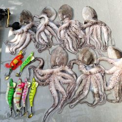 伊勢湾沖／タコ釣り開幕！