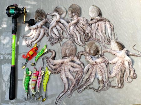 伊勢湾沖／タコ釣り開幕！