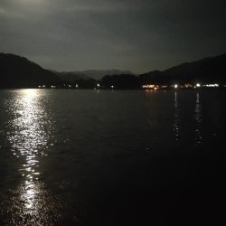 お持ち帰りならず