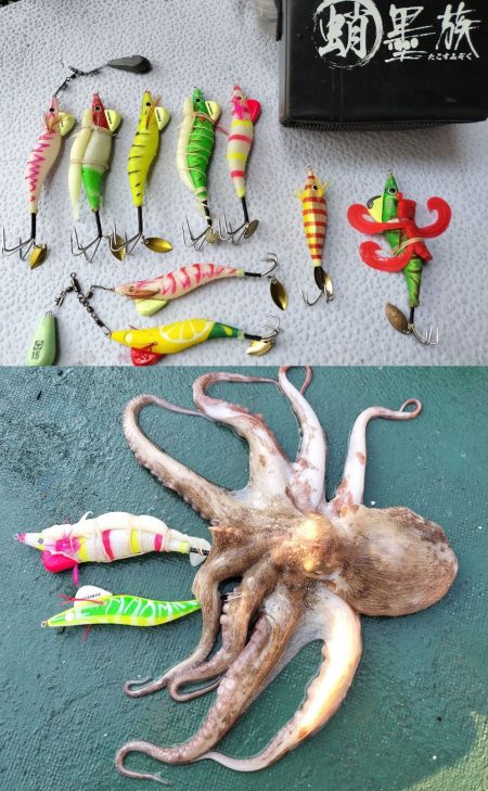 伊勢湾沖／タコ釣り開幕！