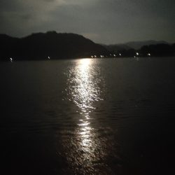 お持ち帰りならず