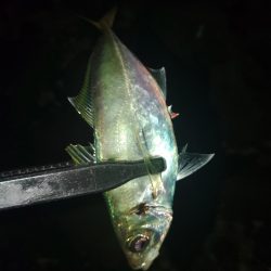 フロートゲーム~