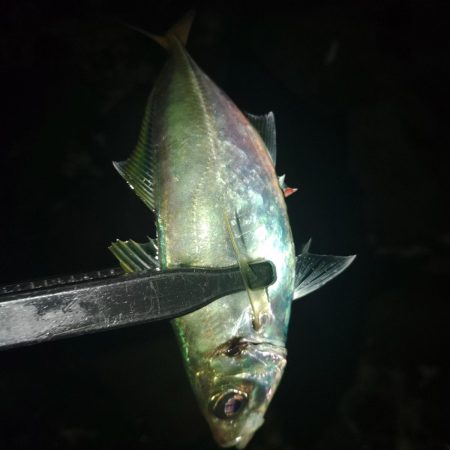 フロートゲーム~