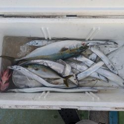 暑い夏の友が島廻り