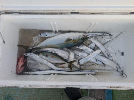 暑い夏の友が島廻り