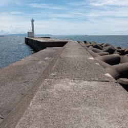 今日も高砂港へ