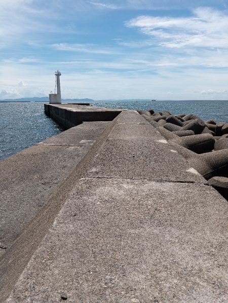今日も高砂港へ
