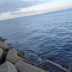 キスが釣りたくて