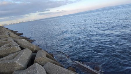 キスが釣りたくて