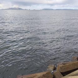 今日も朝のうちに