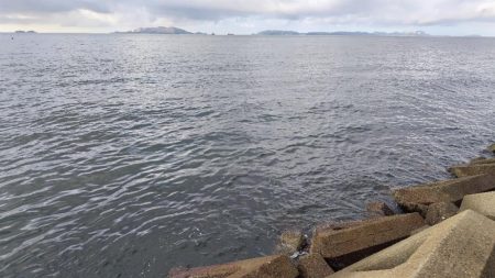 今日も朝のうちに