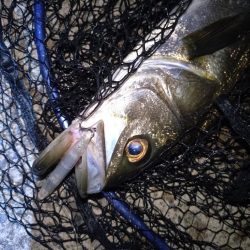 ベイトのキャスト練習