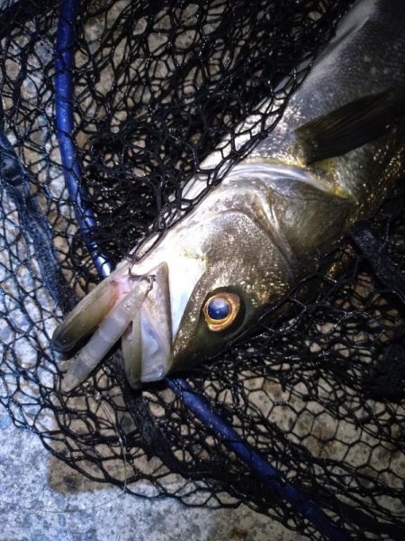 ベイトのキャスト練習