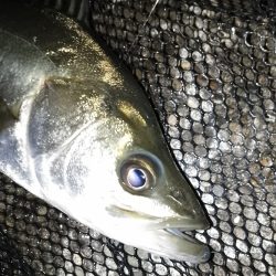 雨が止む間に…