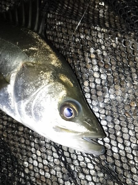 雨が止む間に…