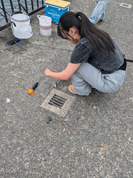 ファミリーフィッシング