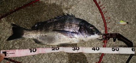 台風の雨上がり釣行