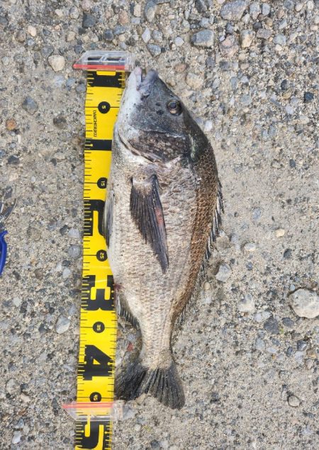 ルアーフィッシング