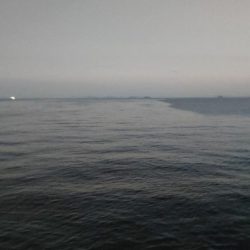 エギング&チニング