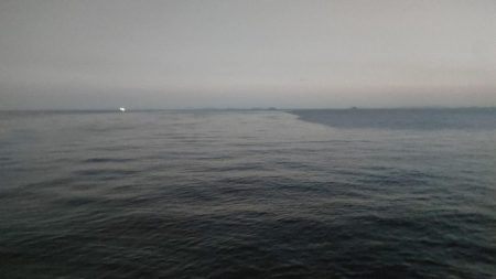 エギング&チニング