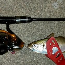 荒天前アジング