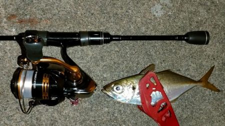 荒天前アジング