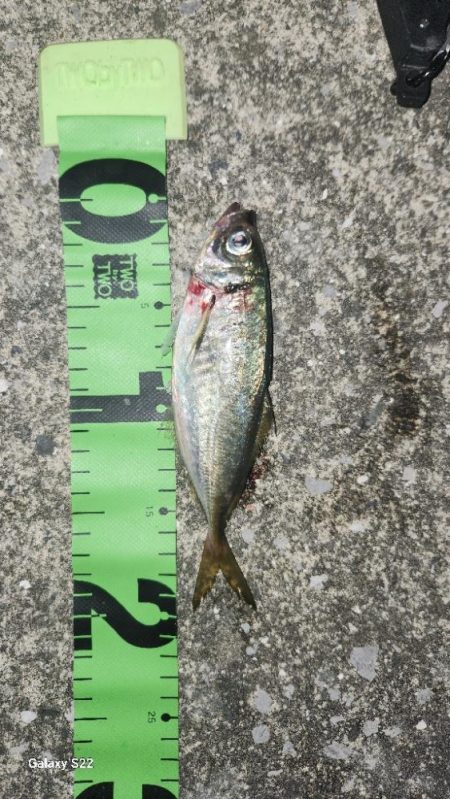 ラン&ガンの醍醐味