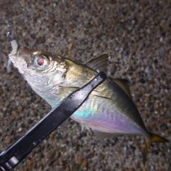 そんな甘くはないよね！