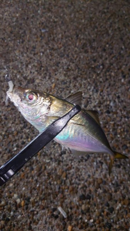 そんな甘くはないよね！