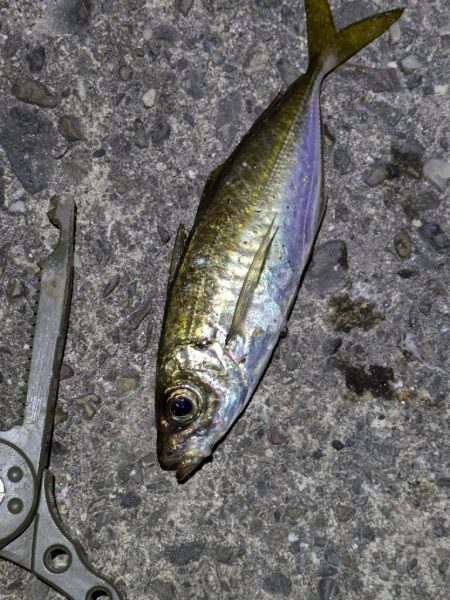 地合い短かっ！