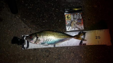 総入れ替えその②