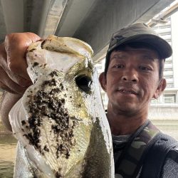 御笹川　シーバス