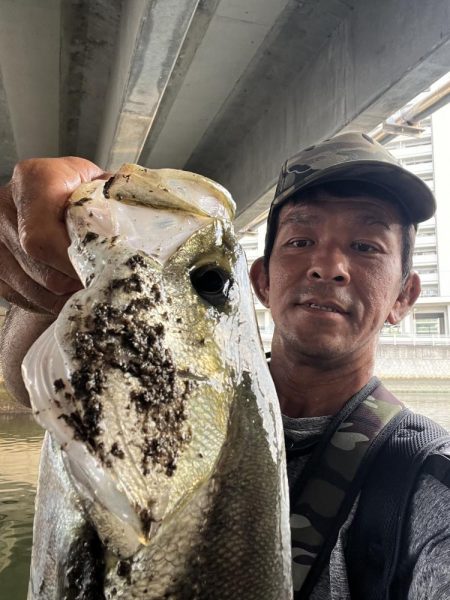 御笹川　シーバス