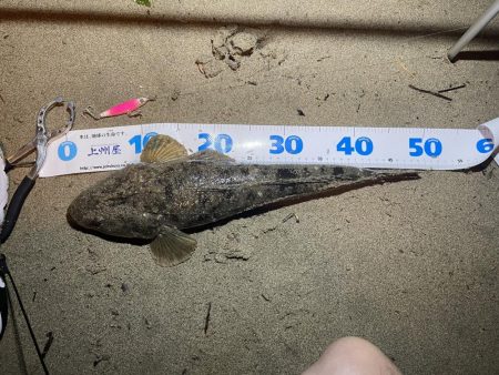 チョンチョンアクションでマゴチを釣るぞ(&…