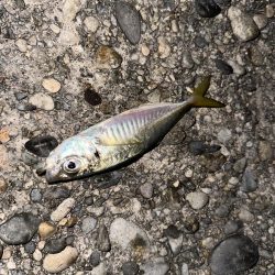 友達と釣りに🎣