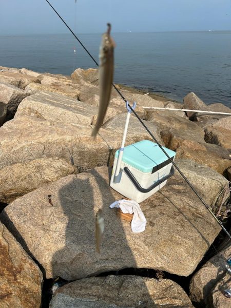 ★★キスまだまだ釣れてます★★