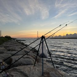 ★★今日もうなぎは来てくれた★★