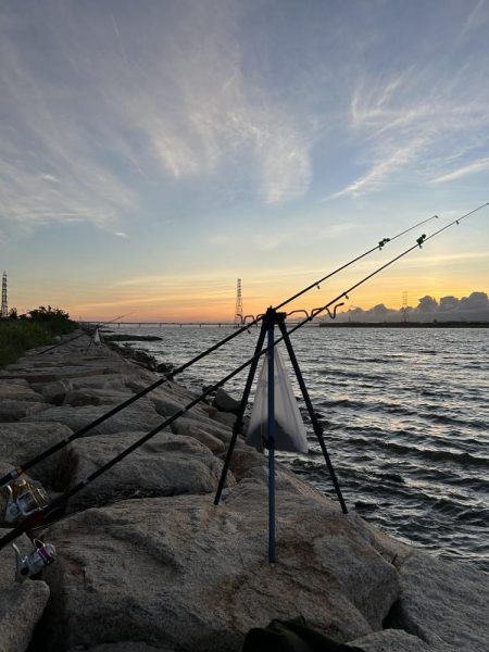 ★★今日もうなぎは来てくれた★★