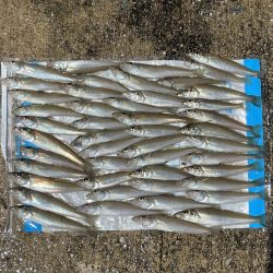 まずまず満足❗️