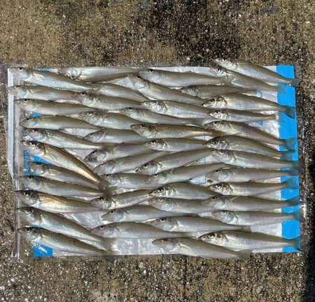 まずまず満足❗️…