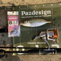 ⭐︎サイズは良き