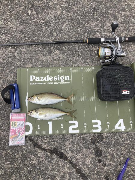 ⭐︎まだまだイケそう