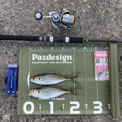 ⭐︎1センチの壁