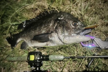 水くさくさ！deathウォーターから回復傾…