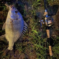 アーバンチニング③