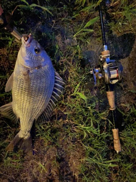 アーバンチニング③