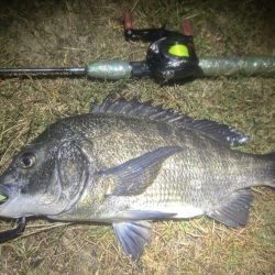 雨パワー!ᕙ( ‘ω’)ᕗ